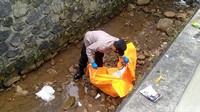 Sebelum dievakuasi, lutung Jawa itu tergeletak mati di sebuah saluran air di Jalan Pahlawan, Dusun Sumur Bandung, Desa Gejlik, Kecamatan Kajen, Pekalongan.