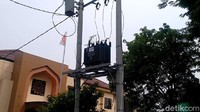 Kapolres Pekalongan Arief Fajar Satria mengatakan, kematian lutung Jawa ini, dari kesaksian warga yang telah dimintai keterangan, sebelumnya lutung muncul di pepohonan timur, berencana mau menyebrang jalan setempat.