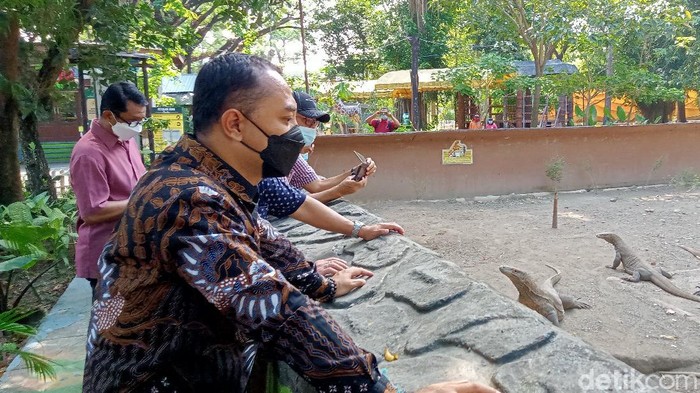 Kebun Binatang Surabaya (KBS) dibuka kembali. KBS dibuka setelah tutup selama pemberlakuan pembatasan kegiatan masyarakat (PPKM).