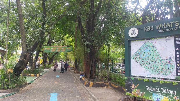 kebun binatang surabaya