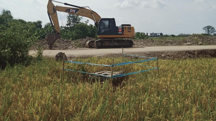 Situs Kura-Kura di Dekat Proyek Tol Yogya-Solo