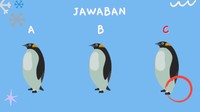 Penguin paling kanan tidak memiliki ekor.