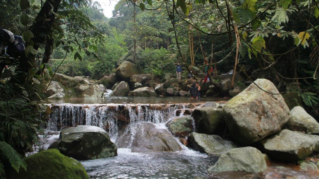 Curug Lembah Tepus, Sensasi Air Terjun Bertingkat di Bogor