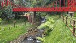 Mau Ngopi Lucu Sambil Lihat Gunung Salak, ke Sini Saja