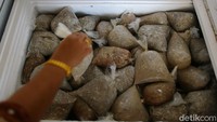 Gayung bersambut, kini usaha milik pasutri yang diberi nama Afifah ini sudah berkembang pesat. Karyawan yang tadinya hitungan jari, kini sudah berkembang hingga 29 karyawan. Bahkan, ia juga mengakui penghasilannya ketika sebelum mendapatkan modal dari PT Timah dan kini jauh berbeda meningkat berkali-kali lipat.