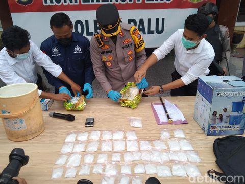 Dua pegawai Lapas Kelas IIA Palu (Lapas Petobo) yang terlibat kepemilikan 4 kg sabu akan dipecat. Keduanya juga akan dipindahkan ke Nusakambangan. (M Qadri/detikcom)