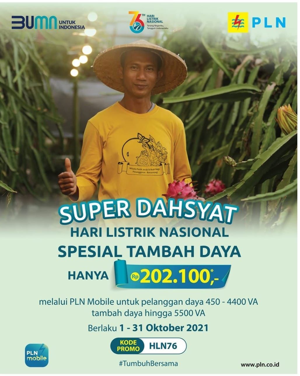 Hari Listrik Nasional (doc. PLN)