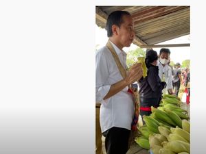 Jokowi Jajan Jagung di Pinggir Jalan Bareng Puan dan Mentan