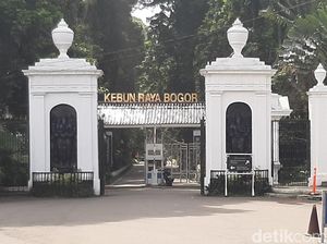 Kebun Raya Bogor, dari Zaman Pajajaran Sampai Ingin Diajukan Status UNESCO