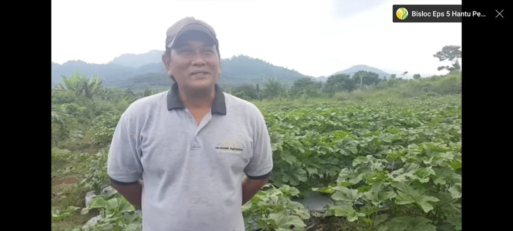 Kenken 'Wiro Sableng' Kini Sibuk Bertani Sayur dan Buah di Bogor