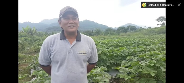 Kenken Wiro Sableng Kini Sibuk Bertani Sayur dan Buah di Bogor