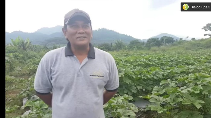 Kenken Wiro Sableng Kini Sibuk Bertani Sayur dan Buah di Bogor