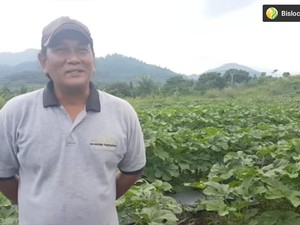 Kenken Wiro Sableng Kini Sibuk Bertani Sayur dan Buah di Bogor