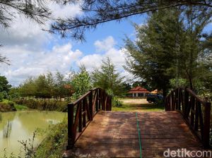 Lahan Bekas Tambang Ini Disulap Jadi Tempat Rekreasi-Konservasi