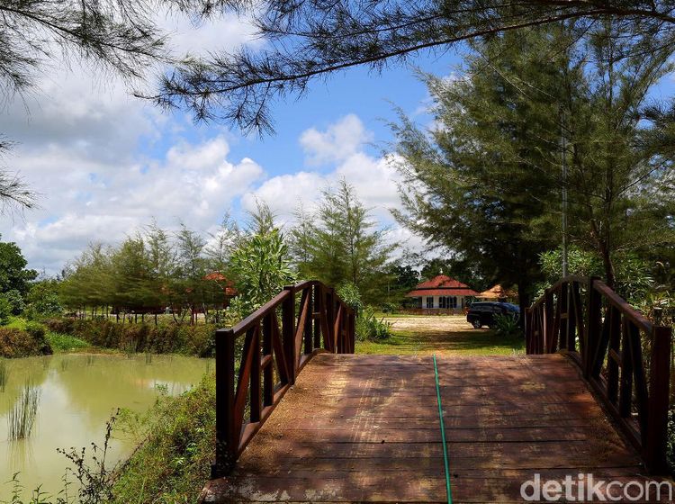 Lahan Bekas Tambang Ini Disulap Jadi Tempat Rekreasi-Konservasi