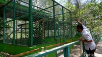 Pengunjung berinteraksi dengan hewan-hewan yang ada disana. Tempat yang akan dijadikan tempat wisata ini memang belum seutuhnya dibuka. Saat ini, pihak pengelola tengah melakukan proses perizinan lingkungan dan dilanjutkan dengan perizinan pariwisata. 
