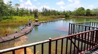 detikcom pun berkesempatan mendatangi kawasan konservasi ini. Sesampainya di kawasan ini, pohon-pohon yang baru saja ditanam dan beberapa kolam besar sudah menyambut pengunjung.