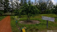 Keindahan yang disajikan tempat ini akan menipu siapapun. Karena siapa yang sangka kalau tempat ini dulunya adalah sebuah tambang.