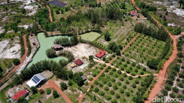 Tempat konservasi ini memiliki luas sekitar 36,6 hektar. Di dalamnya pun ada beberapa spot agro wisata, Pusat Penyelamatan Satwa (PPS) dan beberapa penyelamatan tanaman endemik. Tempat konservasi ini memiliki luas sekitar 36,6 hektar. Di dalamnya pun ada beberapa spot agro wisata, Pusat Penyelamatan Satwa (PPS) dan beberapa penyelamatan tanaman endemik.