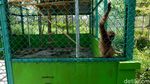 Lahan Bekas Tambang Ini Disulap Jadi Tempat Rekreasi-Konservasi