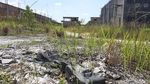 Mangkrak! Proyek Pasar Induk Pekanbaru Penuh Semak Belukar