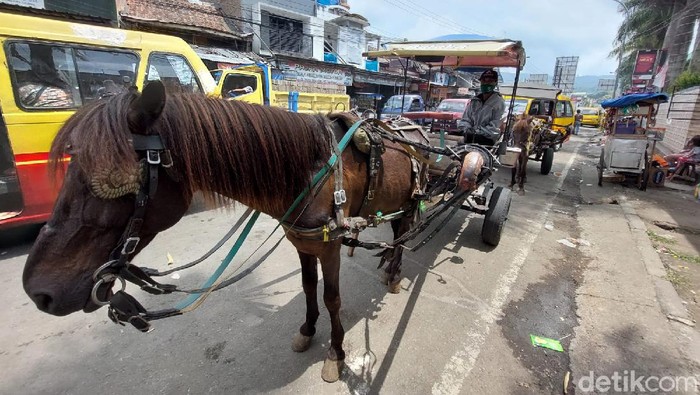 Melihat angkutan delman yang semakin terpinggirkan
