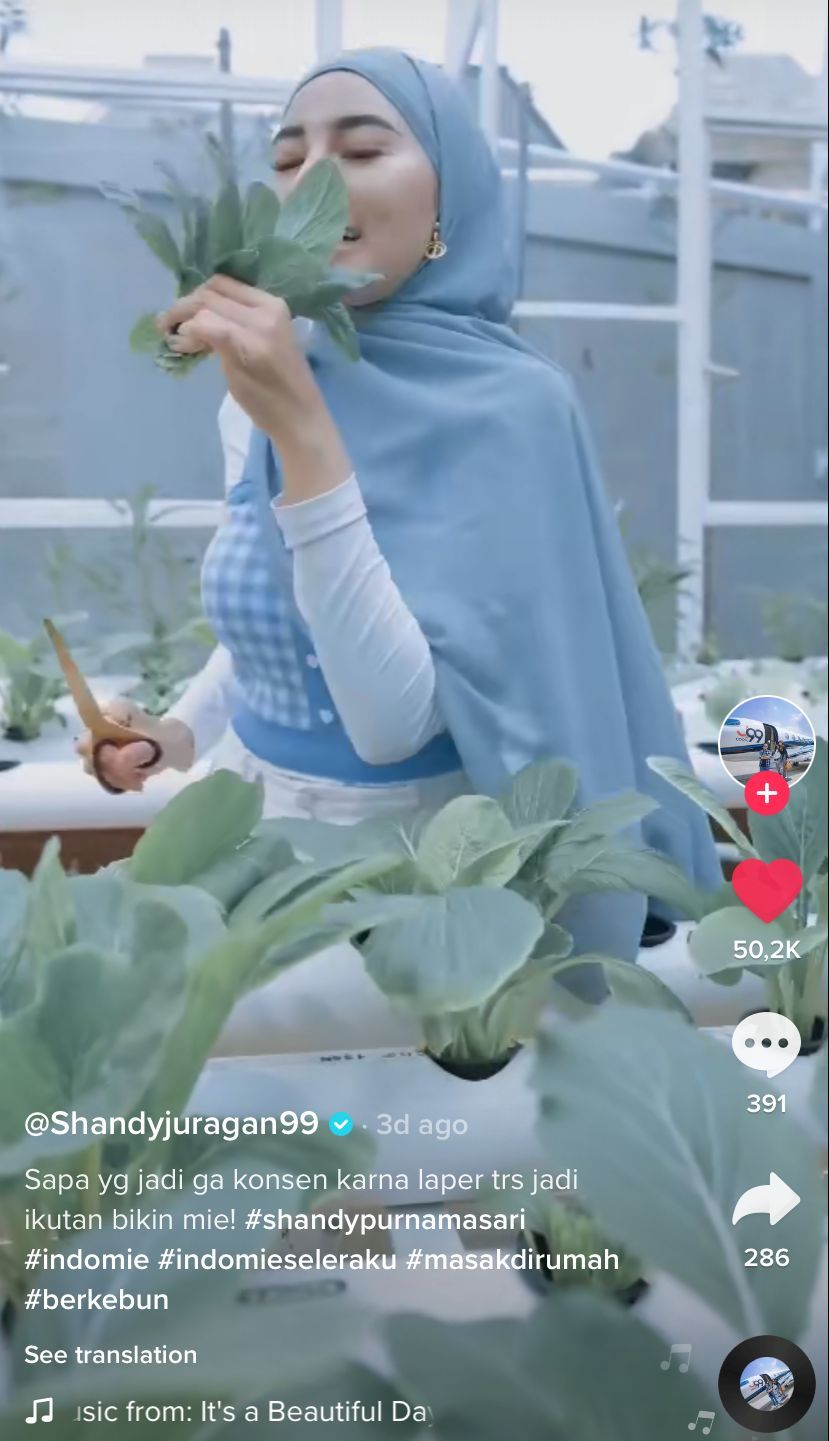 Mie Instan 'Sultan' ala Juragan 99, Pakai Sawi Hasil Petik di Green House