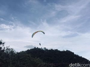 Ngeri-Ngeri Sedap, Venue Paralayang PON Papua 2021 Dikepung Kandang Buaya