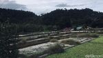 Venue Paralayang PON XX Papua Mepet Penangkaran Buaya di Jantung Kota Jayapura