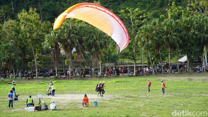 Penangkaran Buaya Bintang Mas