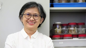 Hasil ekspedisi Sjades ini kemudian diterbitkan di Journal Raffles Bulletin of Zoology Supplement No. 36 pada 6 Agustus 2021 ini Foto: Dok. Peneliti Pusat Riset Oseanografi BRIN