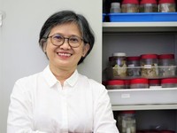 Peneliti Pusat Riset Oseanografi BRIN, Dwi Listyo Rahayu