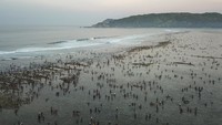 Lombok juga dikenal kaya akan destinasi wisata alam, mulai dari dataran, perbukitan, pegunungan, hingga pesisir pantai yang terhampar di daerah yang memiilki luas wilayah 4.739 km persegi ini.  