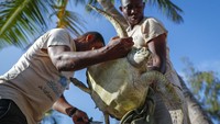 Warga sekitar pun diedukasi akan pentingnya mengurangi penggunaan sampah plastik dan tidak membuang sampah ke lautan. Pasalnya sampah-sampah itu turut membahayakan para hewan laut yang hidup dan mencari makan dari lautan. Sampah-sampah plastik menjadi berbahaya karena tak jarang dimakan penyu dan hewan-hewan laut lainnya yang dapat menyebabkan penyumbatan internal yang bisa berakibat fatal. 