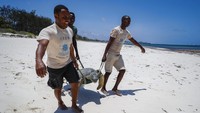 Melansir AP, Kiponda sebelumnya bekerja sebagai seorang akuntan. Namun kini ia memilih untuk menjadi pelindung para penyu yang terdampar maupun tersangkut jaring nelayan di Kenya. 