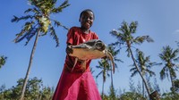 Tak hanya melakukan penyelamatan, Kiponda bersama organisasi Konservasi Laut Lokal juga turut memberikan edukasi kepada masyarakat setempat terkait pentingnya menjaga kelestarian laut serta menciptakan lingkungan laut yang sehat sebagai tempat tinggal serta sumber penghidupan para warga di pesisir tersebut.