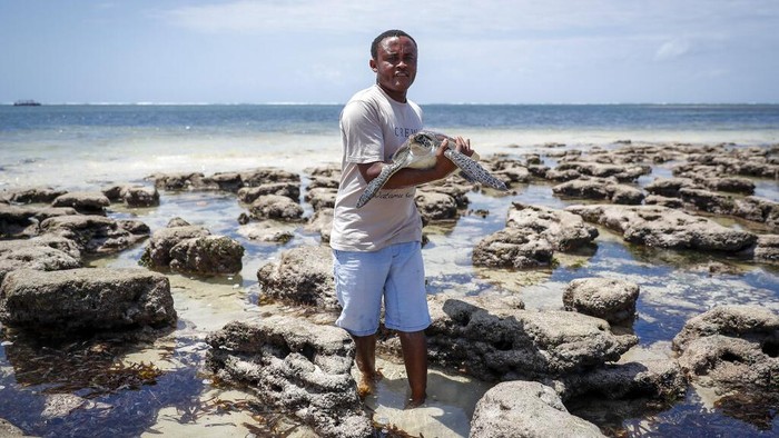 Potret Mantan Akuntan yang Kini Jadi Penyelamat Penyu di Kenya Fikiri Kiponda merupakan mantan akuntan yang kini mendedikasikan dirinya menjadi penyelamat penyu di Kenya. Seperti apa kisahnya?