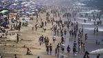Potret Tumpahan Minyak yang Cemari Pantai di California