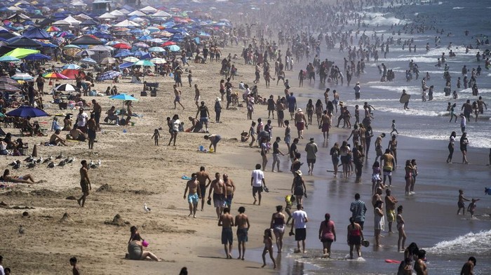 Tumpahan minyak mencemari pantai di kawasan California, Amerika Serikat. Tak hanya mencemari air,  sejumlah ikan dan burung mati akibat tumpahan minyak tersebut