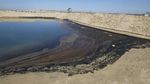 Potret Tumpahan Minyak yang Cemari Pantai di California