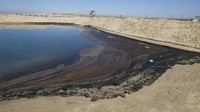Melansir CNN Indonesia, Wali Kota Huntington Beach, Kim Carr, mengatakan tumpahan minyak itu terjadi akibat kebocoran pipa pengebor minyak pada Sabtu (2/10/2021) pagi sekitar pukul 09.00. AP Photo/Ringo H.W. Chiu.  