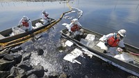 Insiden ini pun dikhawatirkan dapat menyebabkan bencana ekologi yang membahayakan tak hanya bagi hewan-hewan laut tetapi juga masyarakat yang tinggal di kawasan Pantai Huntington. AP Photo/Ringo H.W. Chiu.