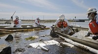 Sisa minyak yang mencemari kawasan pantai pun kini terus disedot. AP Photo/Ringo H.W. Chiu.