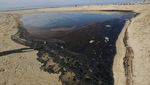 Potret Tumpahan Minyak yang Cemari Pantai di California