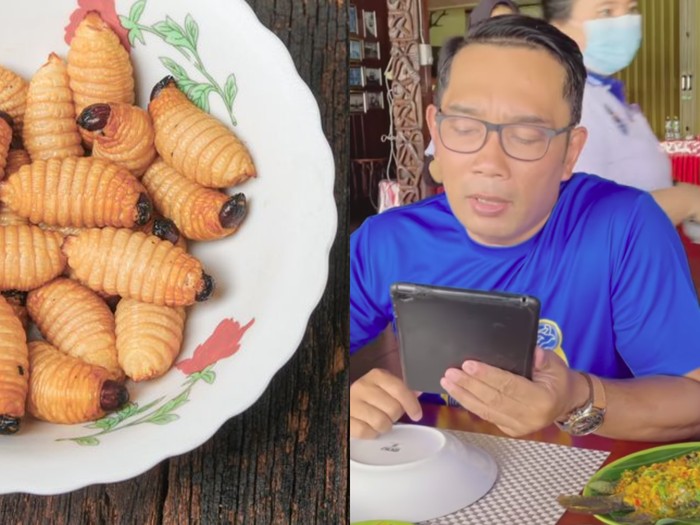 Ridwan Kamil tantang makan ulat sagu Ridwan Kamil Tantang Bima Arya dan Hengky Kurniawan Cicip Ulat Sagu, Ini Reaksinya