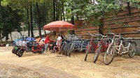 Di sana juga ada penyewaan sepeda untuk kamu yang ingin berkeliilng taman dengan sepedaan. Harga sewanya Rp 20 ribu untuk 15 menit bagi sepeda listrik, dan 30 menit untuk sepeda biasa. Seru juga nih dicoba!