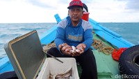 Nelayan tradisional ini mengaku senang dengan adanya apartemen ikan ini karena bisa menangkap ikan lebih banyak lagi. 
