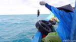 Ada Apartemen Ikan Loh di Bangka Belitung