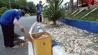 Petugas kebersihan harus sabar menyapu dan membersihkan kelopak kelopak bunga yang berserakan.  