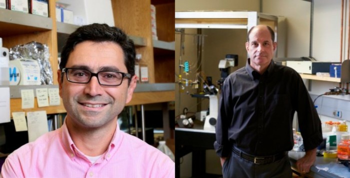 David Julius dan Ardem Patapoutian raih penghargaan Nobel 2021